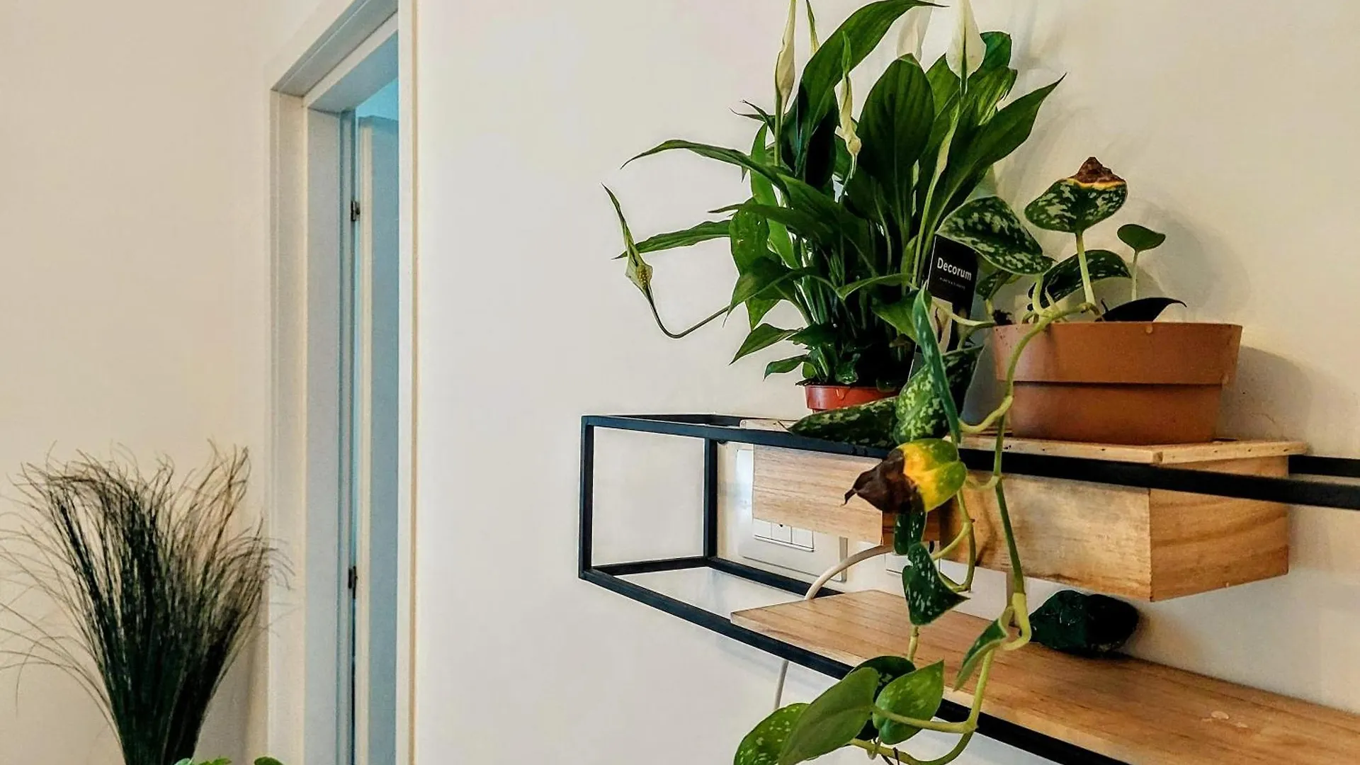 City Apartment - Il Ghiro Florence 0*,